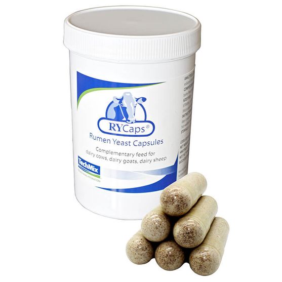 RYCaps Rumen Yeast capsules